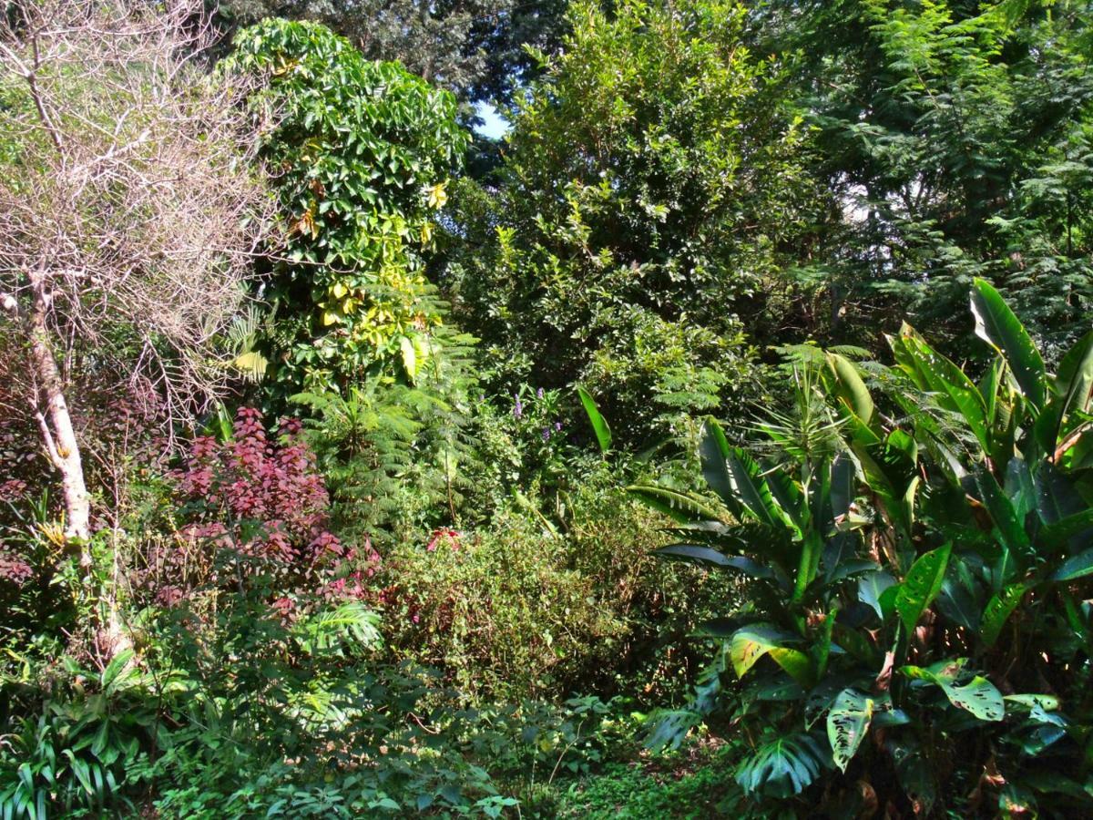 Hotel Curitiba Campo Comprido Exteriör bild