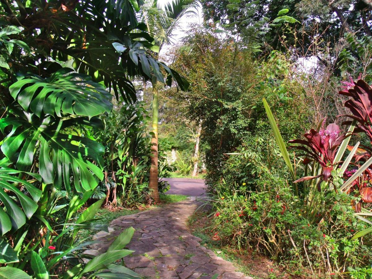 Hotel Curitiba Campo Comprido Exteriör bild